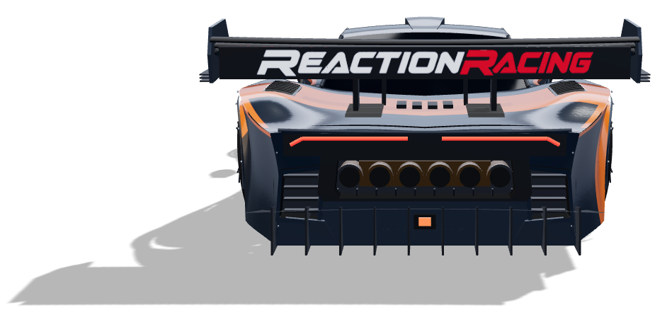 Real1ze Livery — Back